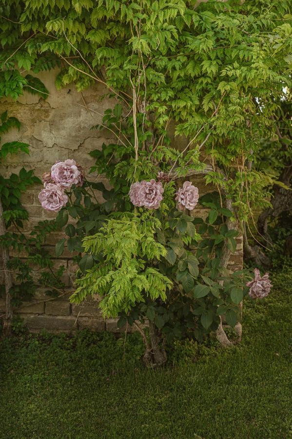 Villa Corallo Sant'Omero 外观 照片